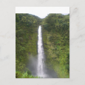 Carte Postale Akaka Falls Hilo, Hawaii