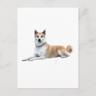 Carte Postale Akita (Akita Inu) - Couché