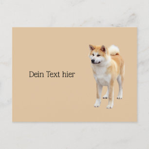 Carte Postale Akita Inu