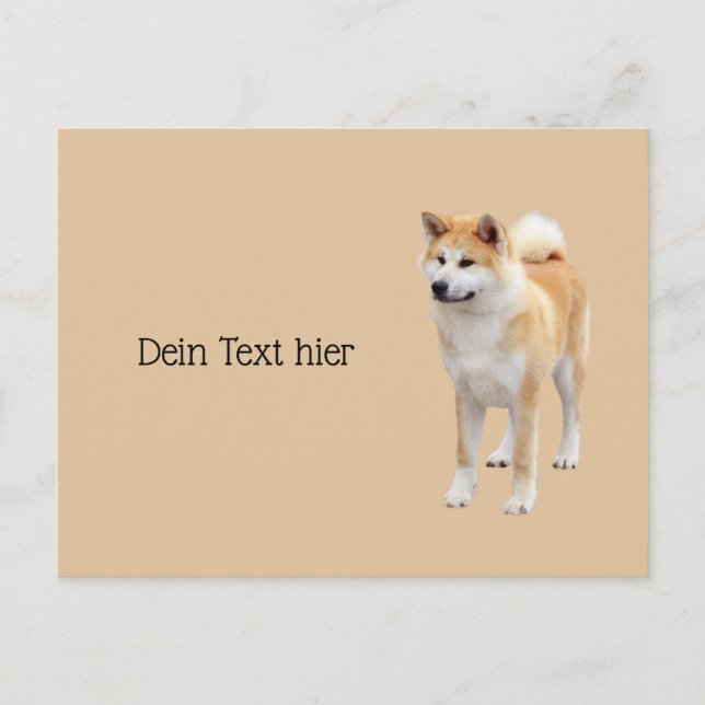 Carte Postale Akita Inu (Devant)