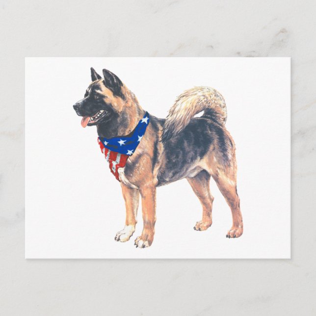 Carte Postale Akita patriotique (Devant)
