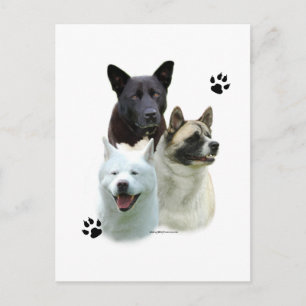 Carte Postale Akita Trio