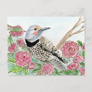 Carte postale Alabama