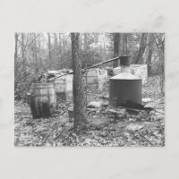 Alambic de contrebande dans les bois, 1931