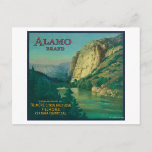Carte Postale Alamo Orange LabelFillmore, CA