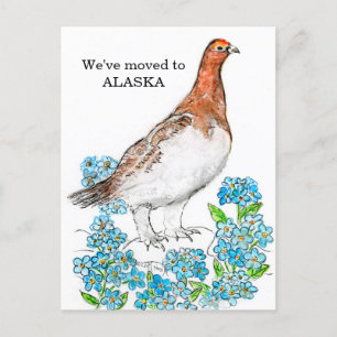 Carte Postale Alaska