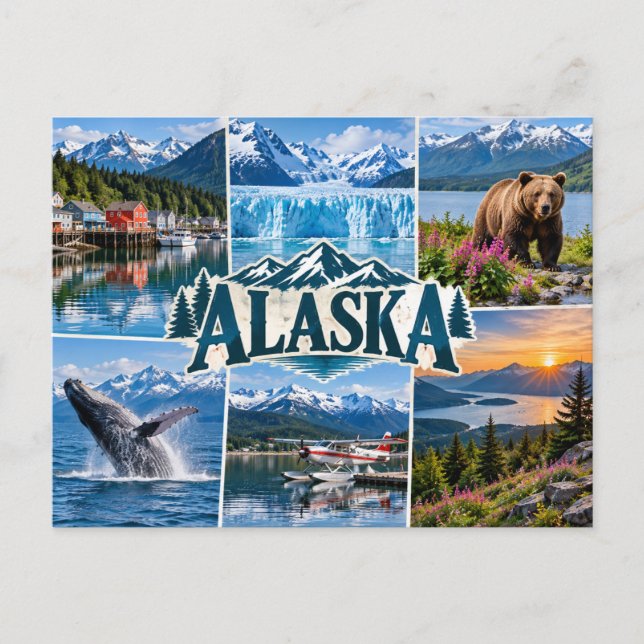 Carte Postale Alaska  (Devant)