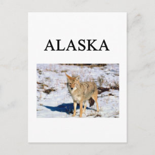 Carte Postale alaska