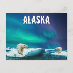 Carte postale Alaska avec ours polaires Aurora Bor