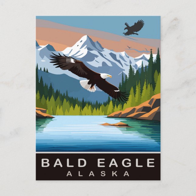 Carte Postale Alaska, Pygargue à tête blanche, Voyage (Devant)
