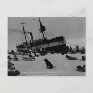 Carte Postale Alaska vintage