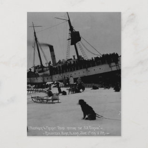 Carte Postale Alaska vintage