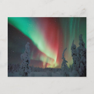 Carte Postale Alaskan Aurora Borealis
