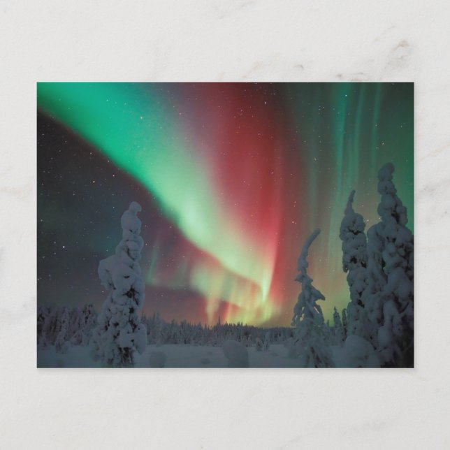 Carte Postale Alaskan Aurora Borealis (Devant)
