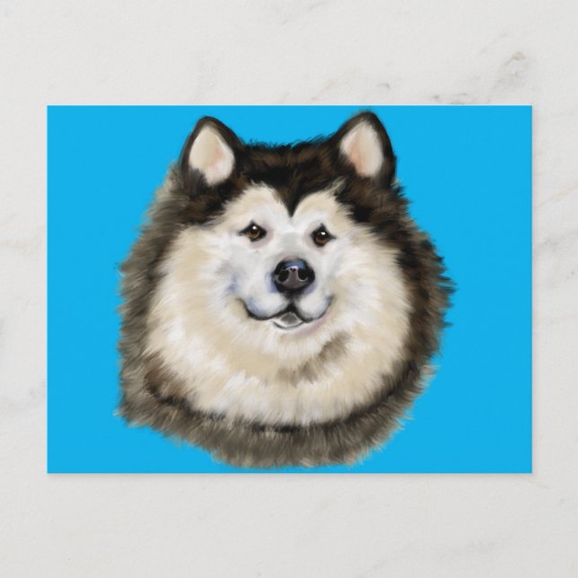Carte Postale Alaskan Malamute (Devant)