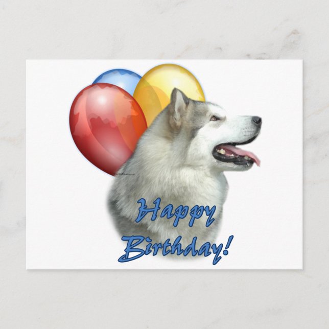 Carte Postale Alaskan Malamute Joyeux Ballons d'anniversaire (Devant)
