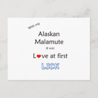 Alaskan Malamute Lick Design