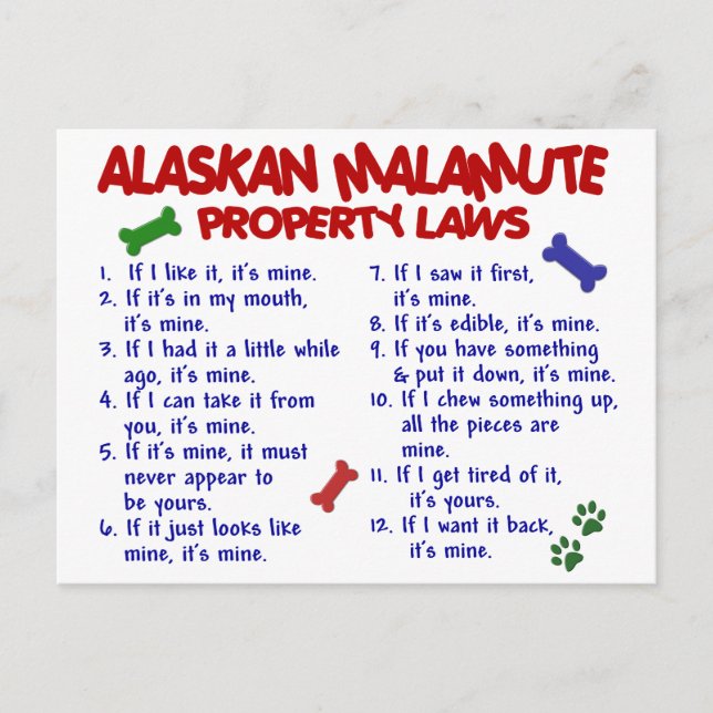 Carte Postale ALASKAN MALAMUTE Propriété Lois 2 (Devant)