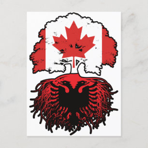 Carte Postale Albanie Drapeau des racines canadiennes de l'arbre