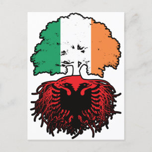 Carte Postale Albanie Drapeau des racines d'arbres en Irlande