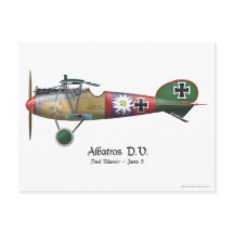 Albatros D.V. ww1 Avion de chasse allemand Bäumer