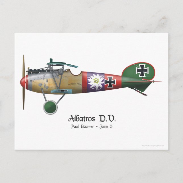 Carte Postale Albatros D.V. ww1 Avion de chasse allemand Bäumer (Devant)