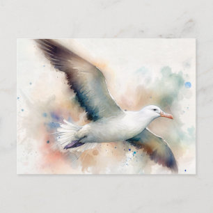 Carte postale Albatross Watercolor