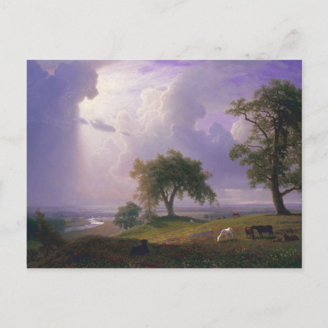 Carte Postale Albert Bierstadt California Spring Cattle (Devant)