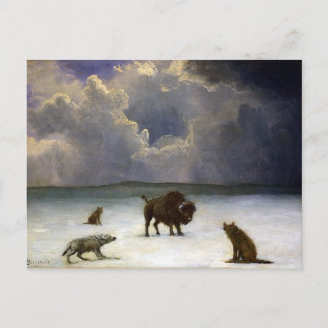 Carte Postale Albert Bierstadt piégé (Devant)