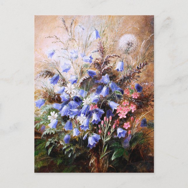 Carte Postale Albert Dürer Lucas : Harebells et Centaury (Devant)