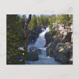 Carte Postale Alberta Falls I