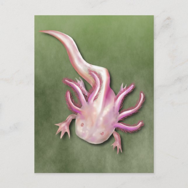 Carte Postale Albino Axolotl "Poisson de promenade" Art (Devant)