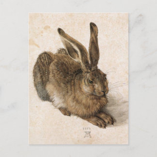 Carte Postale Albrecht Dürer - Junger Hase (Young Hare), 1502