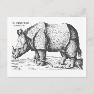 Carte Postale Albrecht Durer - Rhinoceros