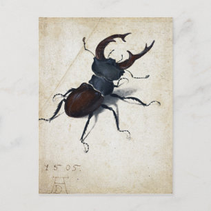Carte Postale Albrecht Dürer Stag Beetle