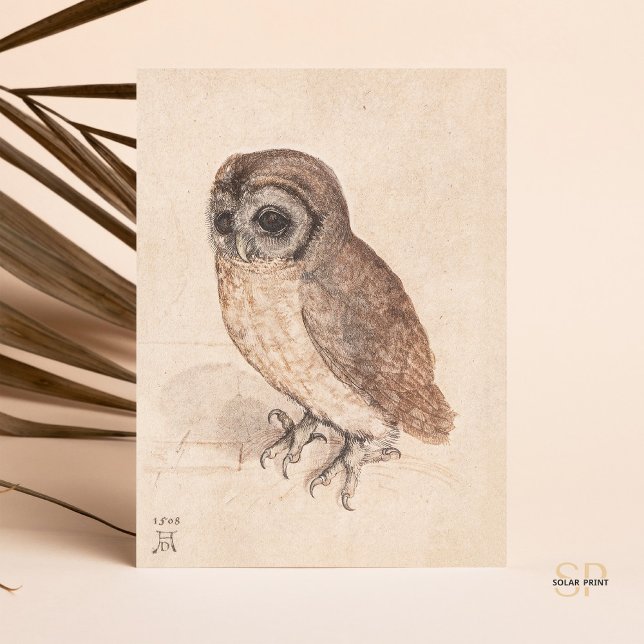 Carte Postale Albrecht Durer The Little Owl Art (Créateur téléchargé)