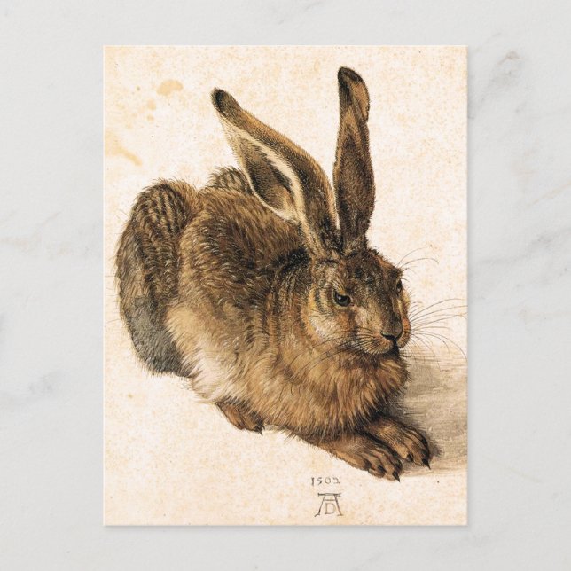 Carte Postale Albrecht Durer Young Hare Postcard (Devant)
