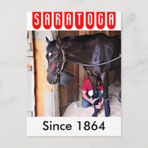 Carte Postale Alcolite - Corse Haven Granges à Saratoga