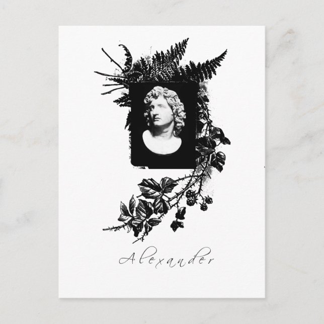 Carte Postale alexander le grand (Devant)