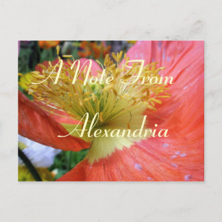 Carte Postale Alexandrie