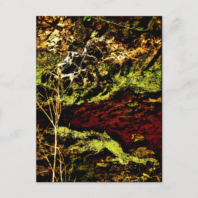 Carte postale "Algae Canal Fallon" JTG Art (Devant)