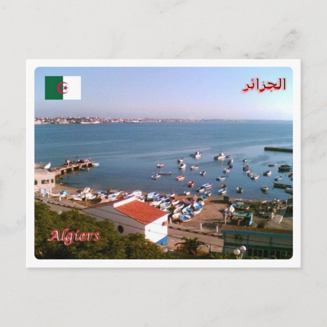 Carte Postale Algeria - Algeri - (Devant)