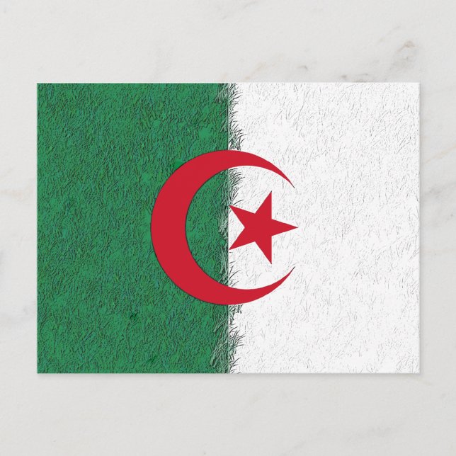 Carte Postale Algérie (Devant)