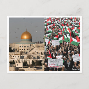 CARTE POSTALE ALGERIE ET PALESTINE