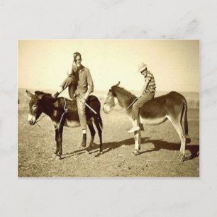 Carte Postale Algérie vintage Explorations sur un âne