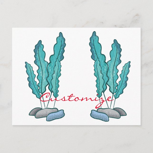 Carte Postale Algues bleues Thunder_Cove (Devant)