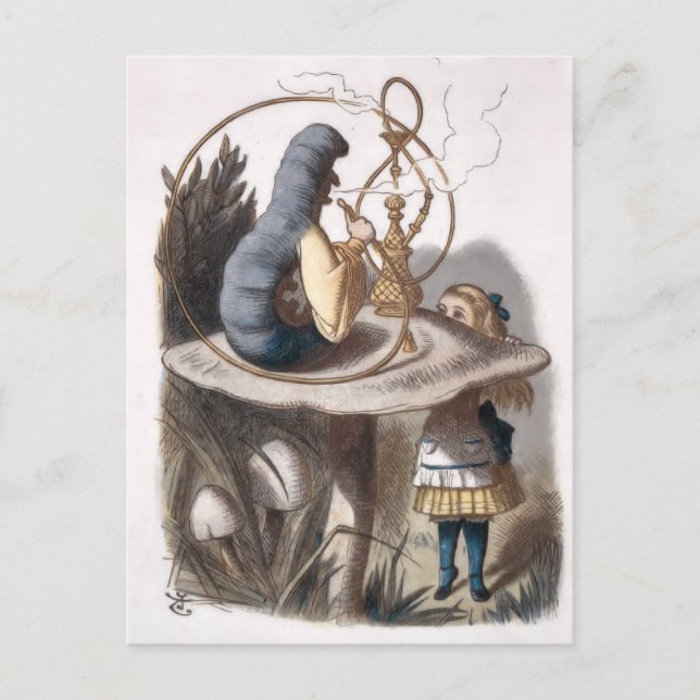 Carte Postale  ALICE et chenille  (Devant)
