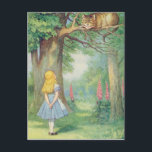 Carte Postale Alice et le Chat du Cheshire<br><div class="desc">Alice et le Chat du Cheshire,  illustration de 'Alice au pays des merveilles' de Lewis Carroll | par John Tenniel | Lieu de l'art : Collection privée | Artiste anglais | Numéro de la collection d'images : XCF264483</div>