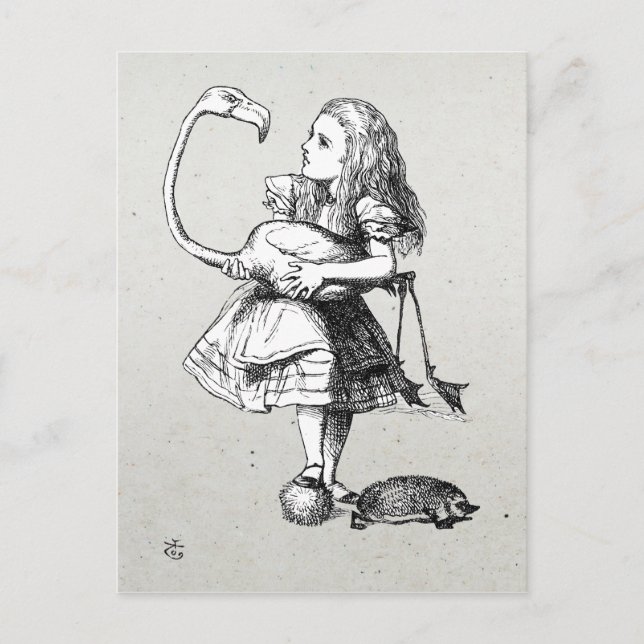 Carte Postale Alice et le Flamant rose (Devant)
