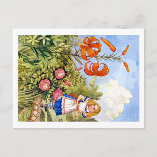 Carte Postale Alice rencontre des fleurs parlantes au pays des m